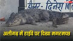 अलीगढ़ में हाईवे पर दिखा मगरमच्छ, तीन घंटे की मशक्कत के बाद किया गया रेस्क्यू