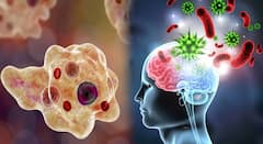 अक्षरश: मेंदू खाणारा अमिबा, केरळमध्ये एका महिन्यात 6 जणांचा मृत्यू; अमिबिक मेनिन्गोएन्सेफलायटीसनं चिंता वाढवली