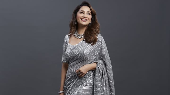 Day 6 – Grey: Her shimmery grey saree brings in a dash of contemporary sparkle. Paired with silver jewellery, it’s a graceful yet glamorous choice for evening festivities. (Image Source: Instagram/ madhuridixitnene)