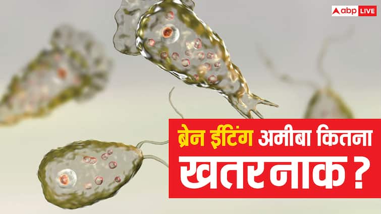 Brain Eating Amoeba: ब्रेन ईटिंग अमीबा से केरल में 5 की मौत, जानें यह कितना खतरनाक और बचने के तरीके?