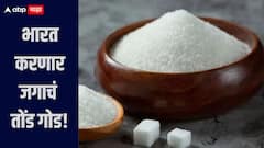 भारत करणार जगाचं तोंड गोड, 'या' तारखेपासून उसाचा गळीत हंगाम सुरु होणार, निर्यातीसाठी साखरेचा मोठा साठा