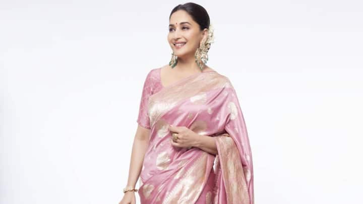 Day 9 – Pink: Her pale pink silk saree with golden embroidery is understated yet regal. The minimal aesthetic brings a soft festive charm, perfect for the final day of Navratri. (Image Source: Instagram/ madhuridixitnene)