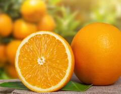 Fitness Tips for Women: 30 के बाद महिलाओं को इन फलों का करना चाहिए सेवन, वरना बुढ़ापा जल्द दिखने लगेगा