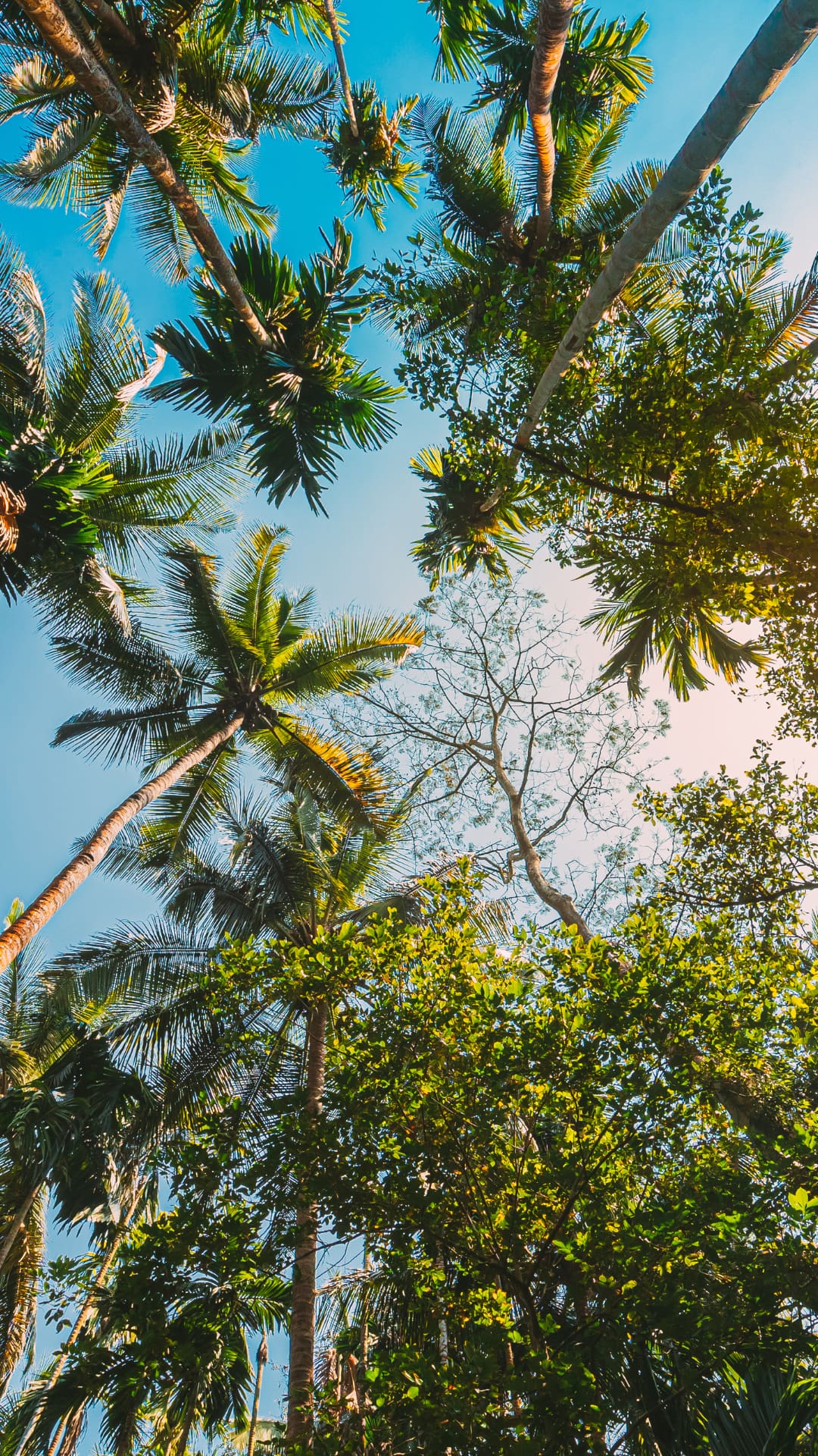 5 Essential Safety Tips Girls Should Follow While Travelling In Goa 5 Essential Safety Tips Girls Should Follow While Travelling In Goa
