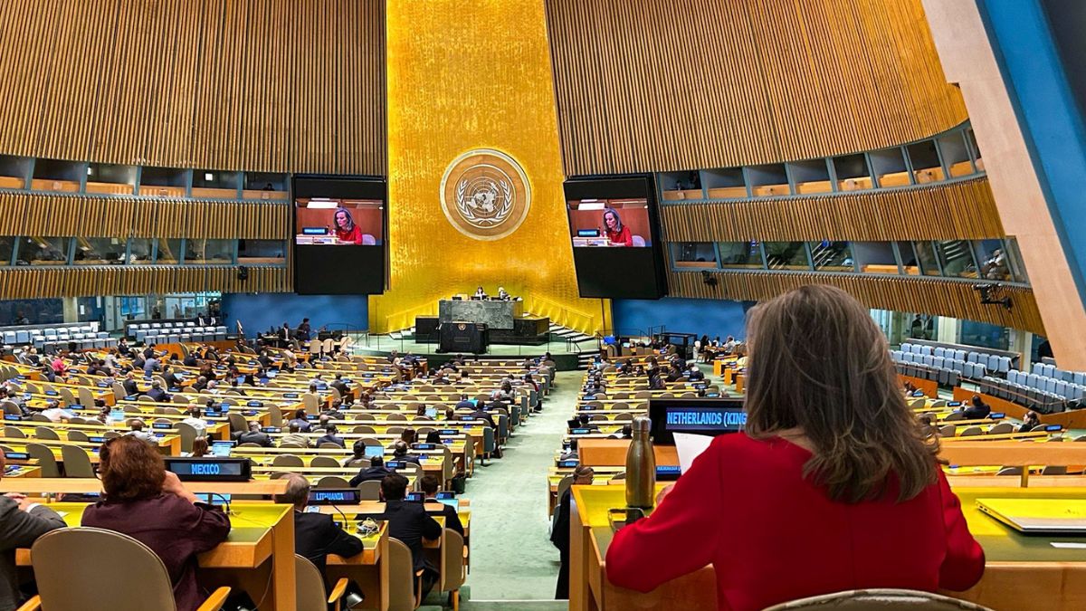 India Votes In Favour Of Two-State Solution For Palestine; US, Israel Oppose Against Resolution