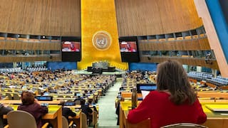 India Votes In Favour Of Two-State Solution For Palestine; US, Israel Oppose Resolution