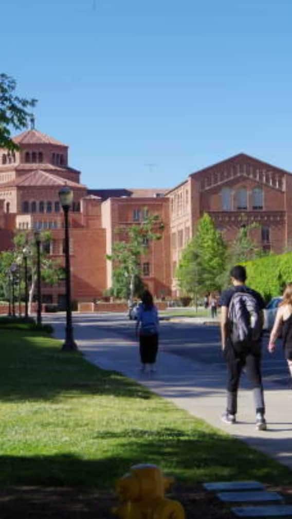 नेपाल की सबसे बड़ी यूनिवर्सिटी कौन सी है?