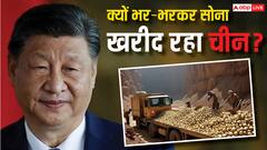 आखिर क्या करके मानेगा चीन? अंधाधुंध खरीद रहा सोना, क्यों गोल्ड इकट्ठा करने के पीछे पड़ा ड्रैगन?