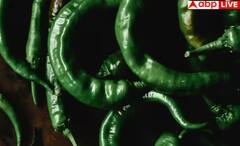 ਕੀ ਹਰੀ ਮਿਰਚ ਖਾਣ ਨਾਲ ਹੁੰਦਾ ਹਾਰਟ ਅਟੈਕ ਦਾ ਖਤਰਾ? ਡਾਕਟਰ ਤੋਂ ਜਾਣ ਲਓ ਆਹ ਸੱਚ