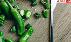 ਕੀ ਹਰੀ ਮਿਰਚ ਖਾਣ ਨਾਲ ਹੁੰਦਾ ਹਾਰਟ ਅਟੈਕ ਦਾ ਖਤਰਾ? ਡਾਕਟਰ ਤੋਂ ਜਾਣ ਲਓ ਆਹ ਸੱਚ