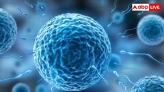 स्पर्म की एक बूंद से कैसे खड़ा हो जाता है पूरा इंसान? जान लीजिए पूरा प्रोसेस