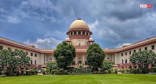 Vantara Case: SC On Temple Elephant Row, ‘What’s Wrong If Someone Legally Acquires An Elephant’