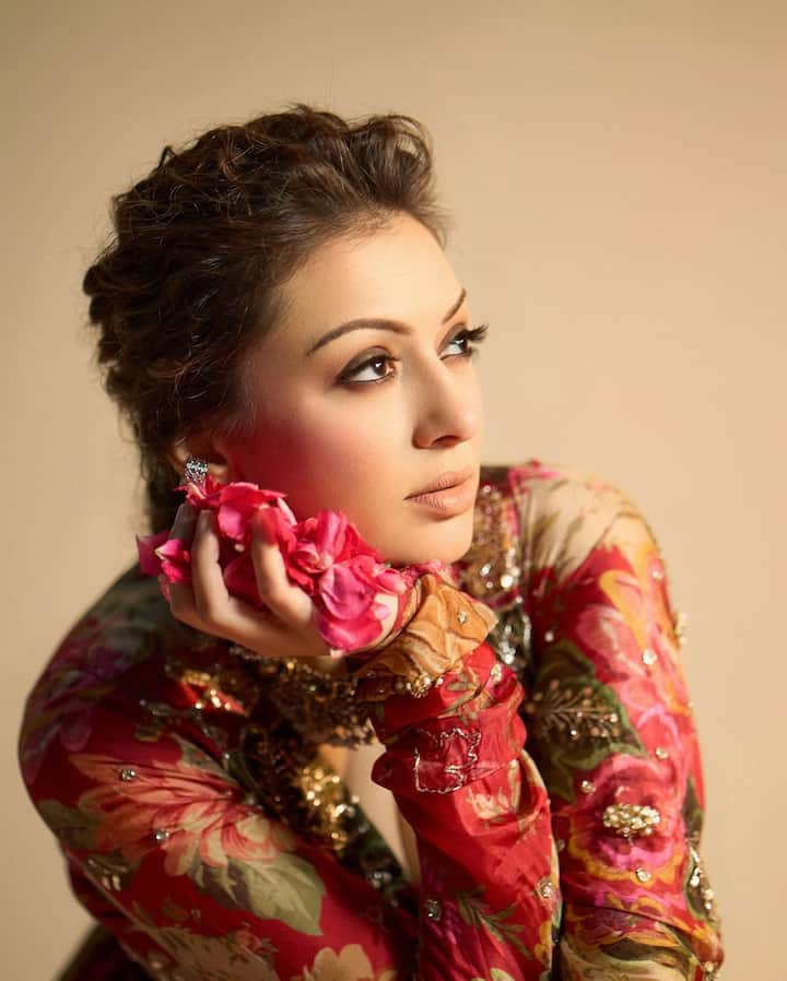 After this, Hansika worked in shows like Karishma's Karishma, Son Pari and because mother -in -law also did daughter -in -law. In 2003, he made her Bollywood debut with Koi Mil Gaya.
