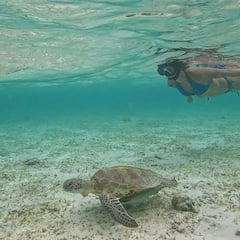 Ananya Panday Bikini Photos: బికినీలో అనన్యా పాండే... మాల్దీవుల్లో బాలీవుడ్ బ్యూటీ సందడి