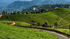 மூணாறு: 2025-ல் ஆசியாவின் சிறந்த கிராமப்புற ஓய்விடம்! இயற்கை எழில் கொஞ்சும் சொர்க்கத்திற்கு ஒரு பயணம்!