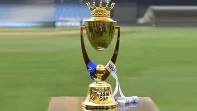 Asia Cup में मेडन ओवर के साथ विकेट लेने वाले गेंदबाज, पावरप्ले रिकॉर्ड की लिस्ट में भारत का दिग्गज भी शामिल