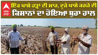 ਇੱਕ ਪਾਸੇ ਹੜ੍ਹਾਂ ਦੀ ਮਾਰ, ਦੂਜੇ ਪਾਸੇ ਕਰਜੇ ਦੀ ਕਿਸਾਨਾਂ ਦਾ ਹੋਇਆ ਬੁਰਾ ਹਾਲ