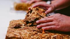 Haryana Bans Sale Of Tobacco, Gutkha Within 100 Yards Of Schools