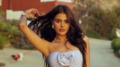 Priyanka Chahar Choudhary Set To Lead Naagin 7? Fans Already Celebrating