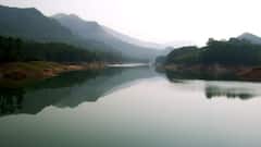 Kerala Cabinet Approves Bill Allowing Culling Of Violent Wild Animals Amid Rising Man-Animal Conflicts