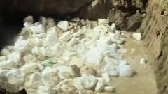 मार्केट में सप्लाई के लिए जा रहा था 1150 किलो नकली पनीर, खाद्य सुरक्षा विभाग टीम ने पकड़ा