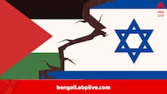 দ্বিরাষ্ট্র নীতিকেই সমর্থন, রাষ্ট্রপুঞ্জে প্যালেস্তাইনের পাশে ভারত, তীব্র আপত্তি জানাল আমেরিকা ও ইজরায়েল