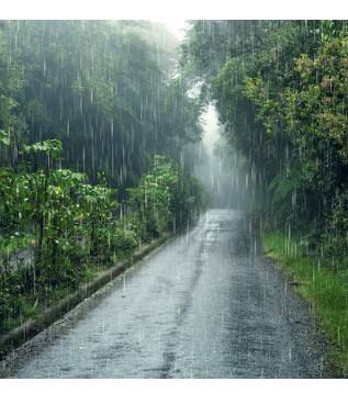 ਪੰਜਾਬ 'ਚ ਇਨ੍ਹਾਂ ਜ਼ਿਲ੍ਹਿਆਂ 'ਚ ਅਲਰਟ 'ਤੇ ਰਹਿਣਗੀਆਂ ਟੀਮਾਂ, ਮੀਂਹ ਦੀ ਚੇਤਾਵਨੀ...