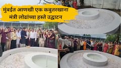 मुंबईत आणखी एक कबुतरखाना, मंत्री मंगलप्रभात लोढांच्या हस्ते उद्घाटन, प्रत्येक वॉर्डमध्ये कबुतरखाना असावा अशी इच्छाही व्यक्त