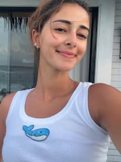 मालदीव में वेकेशन एंजॉय करते हुए अनन्या पांडे की तस्वीरें हुईं वायरल ,पेंटिंग के हुनर ने बनाया फैंस को दीवाना