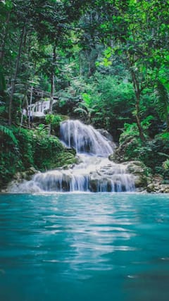 இந்தியாவில் அவசியம் பார்க்க வேண்டிய 7 நீர்வீழ்ச்சிகள்