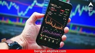 Stocks to Buy: ১০০ টাকারও কম দাম, দিতে পারে মাল্টিব্যাগার রিটার্ন ! এই শেয়ারে টার্গেট রাখছে ব্রোকারেজ ফার্ম