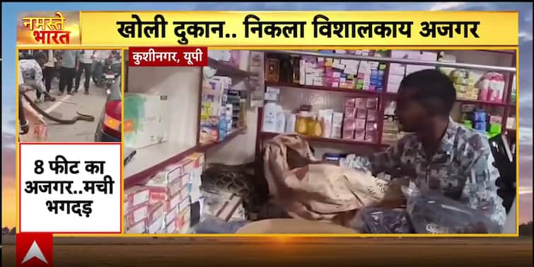 Breaking: 8-Foot Python Sparks Panic In Kushinagar Shop, Police Seize Illegal Liquor In Datia