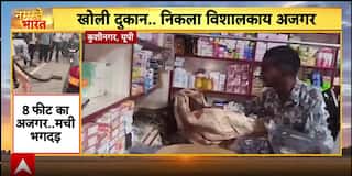 Breaking: 8-Foot Python Sparks Panic In Kushinagar Shop, Police Seize Illegal Liquor In Datia
