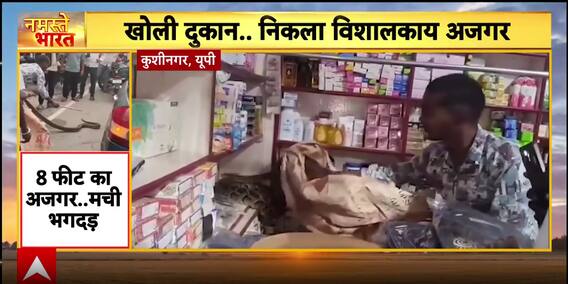 Breaking: 8-Foot Python Sparks Panic In Kushinagar Shop, Police Seize Illegal Liquor In Datia
