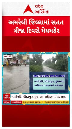 Amreli Rain : અમરેલી જિલ્લામાં સતત ત્રીજા દિવસે મેઘમહેર, જુઓ શોર્ટ વીડિયો