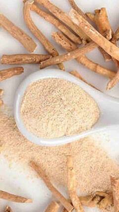 घर में कैसे उगाएं अश्वगंधा का पौधा?