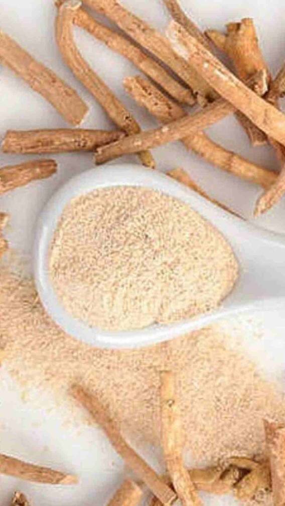 घर में कैसे उगाएं अश्वगंधा का पौधा?