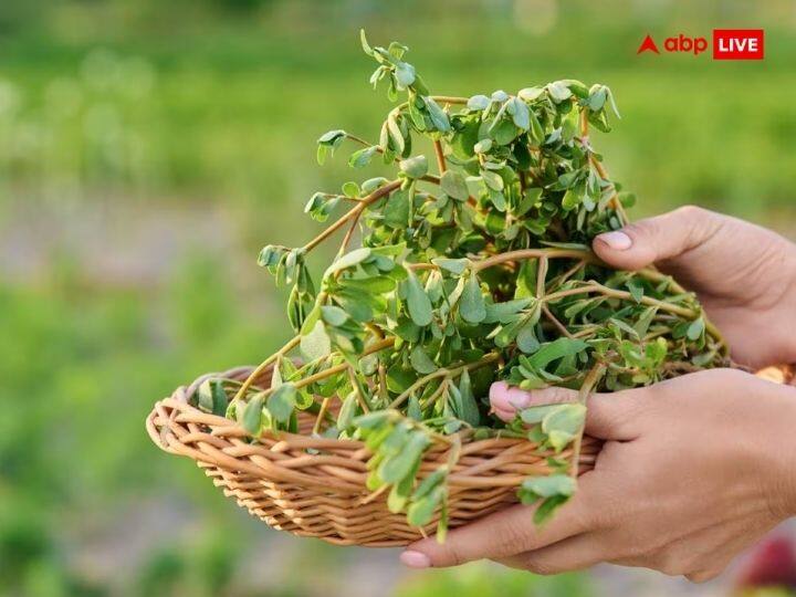 नोनी साग- जितिया में नोनी साग का खास महत्व होता है. नहाय खाय से लेकर पारण के दिन तक इसे बनाया और खाया जाता है. पारण के दिन नोनी साग बनाकर इसका भी भोग जीमूतवाहन देवता को लगाया जाता है.