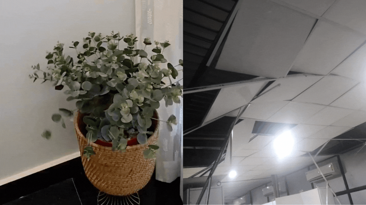 Northeast Shaken By 5.8 Magnitude Earthquake, Strong Tremors Felt Across Assam, Manipur, Arunachal