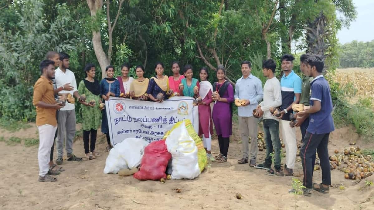 ஒரு கோடி பனை விதைகள் நடும் நெடும் பணி... மன்னர் சரபோஜி அரசு கல்லூரியில் பனை விதை வங்கி தொடக்கம்