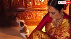 Rekha bungalow Mumbai: रेखा का घर नहीं देखा तो क्या देखा? इन 10 तस्वीरों में नजर आ जाएगा इस खूबसूरत हसीना का शानदार घर