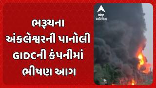 Bharuch Fire Incident: ભરૂચના અંકલેશ્વરની પાનોલી GIDCની કંપનીમાં ભીષણ આગ