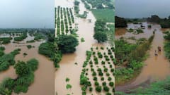 Chhatrapati Sambhajinagar Rains: पैठणमध्ये अतिवृष्टी, नदी-नाल्यांना पूर; तूर, मका, कापूस, सोयाबीनची पिके पाण्याखाली, Photo