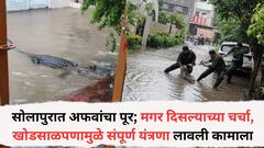 सोलापुरात दिवसभर मुसळधार पाऊस अन् रात्री अफवांचा पूर; मगर दिसल्याच्या चर्चेने खळबळ, खोडसाळपणामुळे संपूर्ण यंत्रणा लावली कामाला, नेमकं काय घडलं?