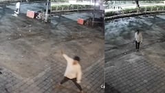 विकृतीचा कळस! दुकानासमोर बसलेल्या कुत्र्यावर सपासप 18 वार, मृतदेह फरफटत रस्त्यावर आणला, सीसीटीव्हीत घटना कैद