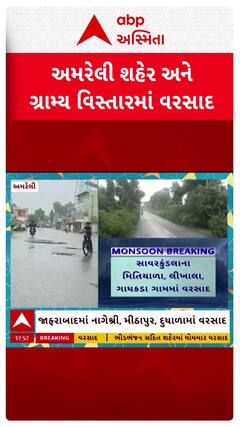 Amreli Rain : અમરેલી શહેર અને જિલ્લામાં વરસાદ