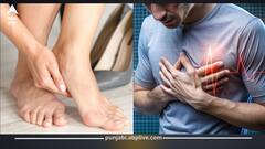 ਪੈਰ ਦੇਣ ਲੱਗ ਪੈਂਦੇ ਨਾੜਾਂ ਬਲਾਕ ਹੋਣ ਦੇ ਸੰਕੇਤ, ਭੁੱਲ ਕੇ ਵੀ ਨਾ ਕਰੋ ਇਗਨੋਰ, ਨਹੀਂ ਤਾਂ ਹਾਰਟ ਅਟੈਕ...