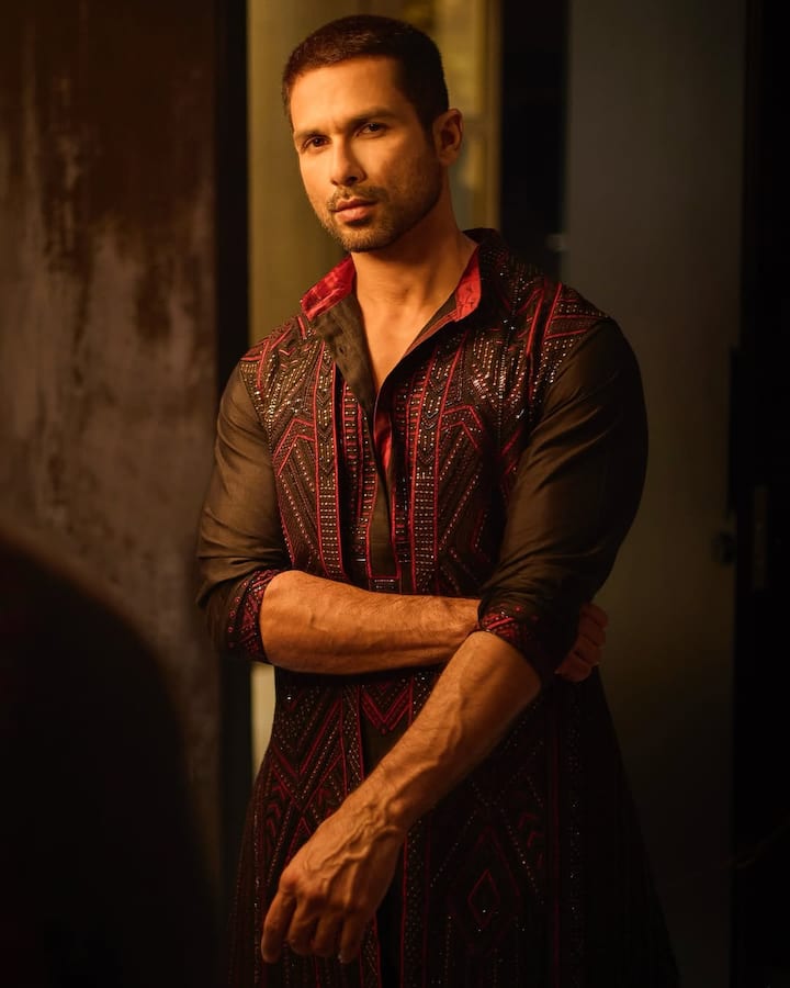 There are many expensive vehicles in Shahid's car collection. These include Audi, BMW 7 Series, Lexus 470, Land Cruiser, Range Rover and Mustang, which are priced at crores.