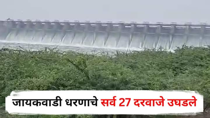 Jayakwadi Dam: मुसळधार पावसाने जायकवाडी धरणाच्या पाणी पातळीत मोठी वाढ झाली आहे. यामुळे धरणाचे सर्व दरवाजे उघडण्यात आले आहेत.