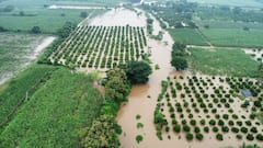 Chhatrapati Sambhajinagar Rains: पैठणमध्ये अतिवृष्टी, नदी-नाल्यांना पूर; तूर, मका, कापूस, सोयाबीनची पिके पाण्याखाली, Photo